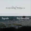 Bigmile - Bigroom Kiss