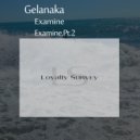 Gelanaka - Examine (Pt.2)