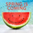 Beepcode - Spring Is Coming