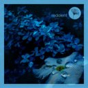 Oscar De Rivera - Blue Velvet (Original Mix)