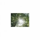 Sleep BGM Mindfulness - Sleep BGM Temperature and Self-control