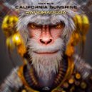 Har-El\'s California Sunshine - HanumanGoa (Original Mix)