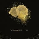 Madness Factory - Twenty Two (Original Mix)