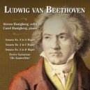 Steven Honigberg - Sonata No. 4, Op. 102 No. 1 II. Allegro vivace ()