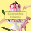 Seva Mix - Control (Extended Mix)