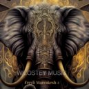 Wilostey Music - Freyli Marrakesh 2