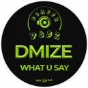 DMIZE - What U Say (Original Mix)