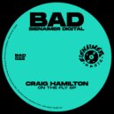Craig Hamilton - On the fly tip