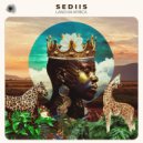 Sediis - Kulalamika Mwanamke (Original Mix)