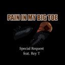Special Request & Rey T. & Ronnie Stewart - Pain in My Big Toe (feat. Rey T. & Ronnie Stewart)