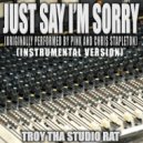 Troy Tha Studio Rat - Just Say I'm Sorry (Originally Performed by Pink and Chris Stapleton)