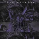 Vitriol - Shattered Reality ()