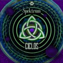 Spektrum BR - R.I