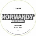 Gunnter - Omaha Beach (Original Mix)