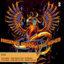 Peter Almeida - Rising From The Ashes (Intrumental)