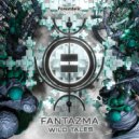 Fantazma - Window Passage