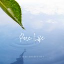 Lukas Grossmeier - First Moment