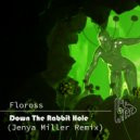 Floross - Down The Rabbit Hole