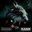 Kane (UK) - Motherfucker (Original Mix)