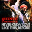 Quinze, Bob Sinclar - Never Knew Love Like This Before