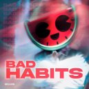 Melon, Dance Fruits Music - Bad Habits (Dance) (Extended Mix)