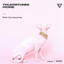 Toldortunes, Moine - Pаnk Cat Imsomnia (Original Mix)