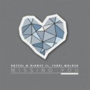 Artful & Ridney Ft. Terri Walker - Missing You
