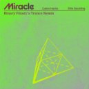 Calvin Harris & Ellie Goulding - Miracle