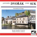 Slovak Chamber Orchestra - Serenade in E flat major for Strings, Op. 6 - Andante con moto
