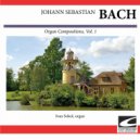 Ivan Sokol - Praludium Fuge in C minor ()