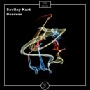 Sevilay Kurt - Aims (Original Mix)