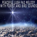 Relaxing Spa Music - Peaceful Lush Pad Melody With Forest and Bird Sounds