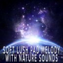 Relaxing Music Soundscapes - Soft Lush Pad Melody With Nature Sounds