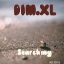 DIM.XL - Dream of the sea turtles (Original Mix)