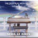 Movements in the Light - Menuet
