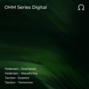 Federsen - Waveforms (Original Mix)