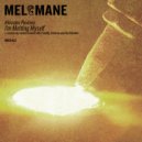 Miroslav Pavlovic - I\'m Melting Myself (Nachtbraker Remix)