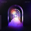 Maor Levi & SLM - 2 Minds