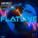 Liam Melly & Sylar - Slowdown (Larsson Remix)