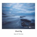 Pink Pig - View Of The Sea