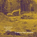 Charles Avnik - Such A Beautiful Nature Deserves To Be Better Cared For (Instrumental)