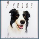Música Para Perros & Colectivo De Música Para Perros & Ansiedad De Los Perros - Musica para Perros ()