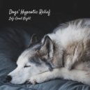 Lofi Harry & Dog Music Waves & Dog Relaxing Zone - Rhythmic Reverie