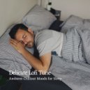 Sleepy Lofi Beats & Sleep Music Playlist & Sleepy Night Music - Empty Room