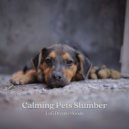 Lofi Mike & Sleepy Pets & Pets Relax - Lofi Chillout Lounge ()