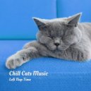 Lofi Rain & Music For Cats & Relax My Kitten - Slow Jams & Chill ()