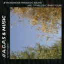 Micronoise Paranoic Sound - Night Snowflakes (Original Mix)