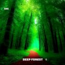 SNS - Deep Forest Q