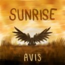 Avis - Echo Chamber (Original Mix)