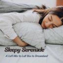 Sleepy Lofi Beats & Sleepy Night Music & The Nature Of Sleep - Smooth Beat ()